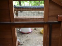 Chickensitter - Innerverkabelung mit LED-Licht